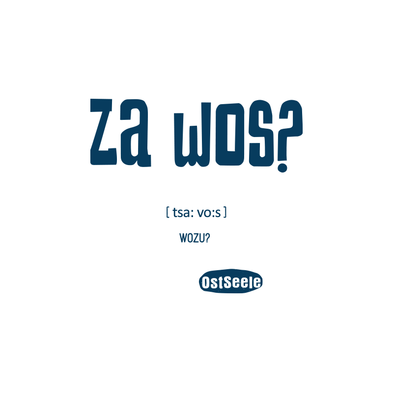 OstSeele - Za wos?