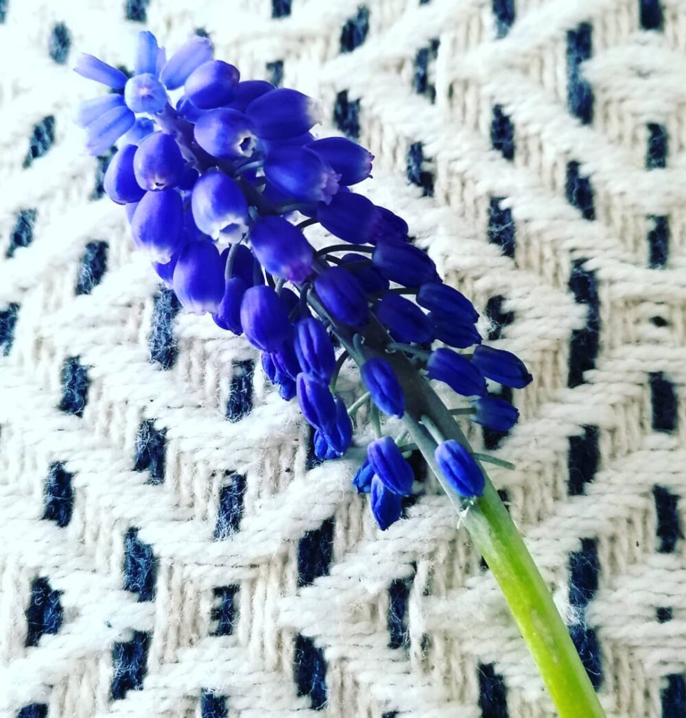 OstSeele - Blume